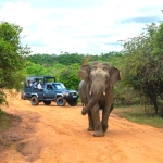 Hilton_Yala_NationalPark_yoyotravel(001)